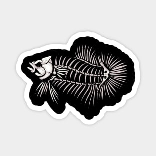 Betta Fish Skeleton Aquarium Fish Lover Magnet