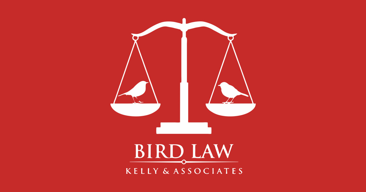 Bird Law Law TShirt TeePublic