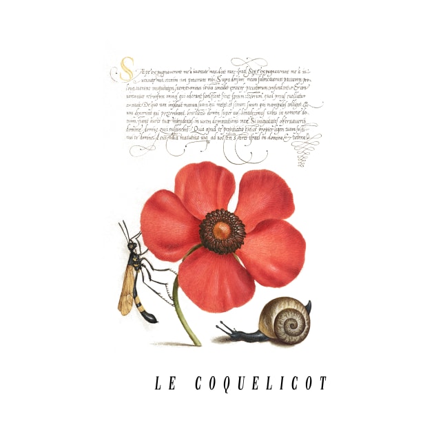 Vintage Poppy Flower Illustration by thecolddots