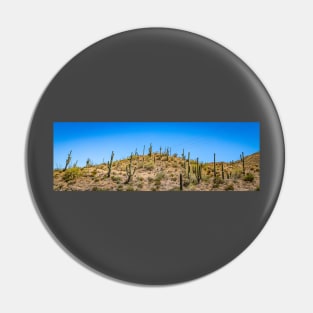 Apache Trail Scenic Drive View Pin