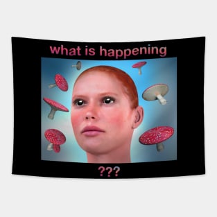 Trippy Mushroom Shirt "What is happening ???" is what it says Psychedelic Experience Tapestry