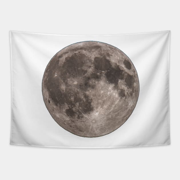 Full Moon Tapestry by StevenElliot