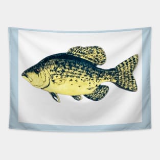 Crappie fish Tapestry