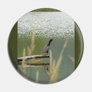 Double Crested Cormorant #2 Pin