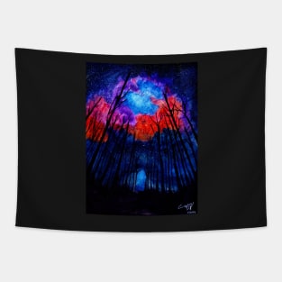 Colors of the Night Tapestry