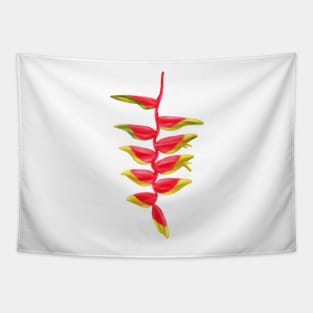 Red & Yellow Heliconia, Lobster-claws Digital Art Tapestry