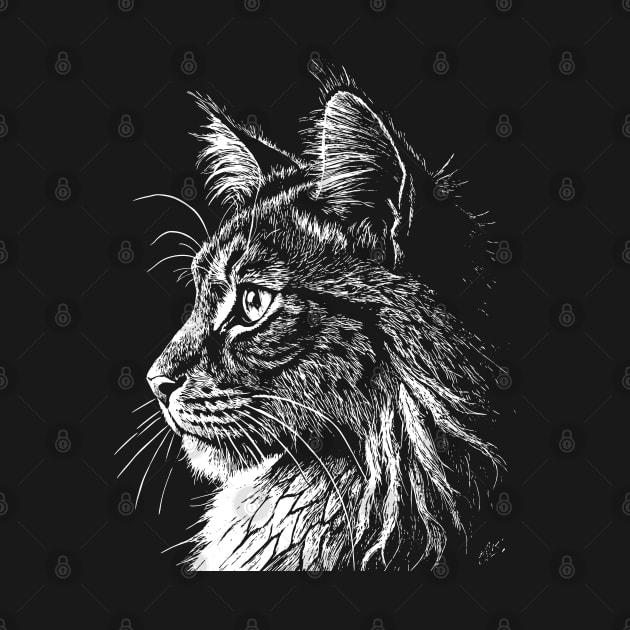 Maine Coon cat by Khrystyna27