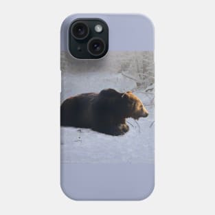 Brown bear in the snow Phone Case