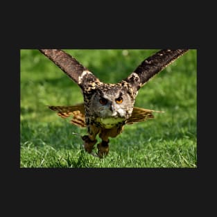 Eagle Owl T-Shirt