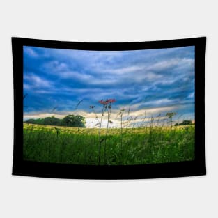 Summer Country Scene Tapestry