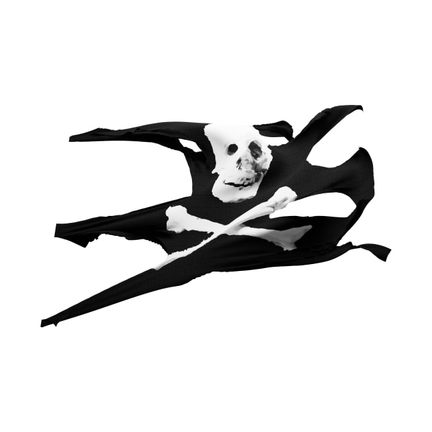 Jolly Roger pirate flag by occultfx