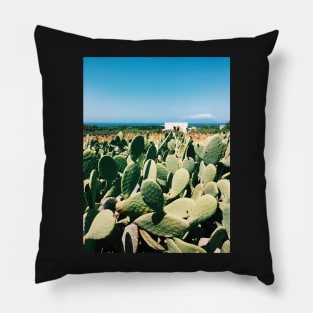 Sicilian Cacti Pillow