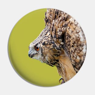 Eagle Owl threat display Pin