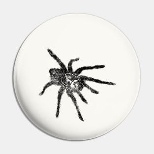 Spider Tarantula Pin