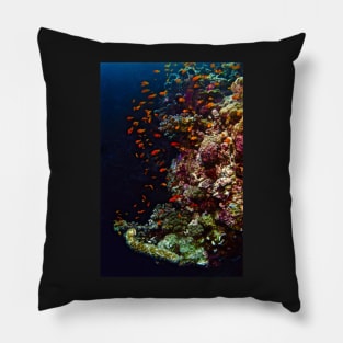 FISH & FORAGE Pillow