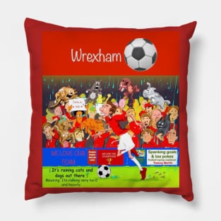 Its raining cats and dogs. Wrexham supporters funny sayings. Pillow