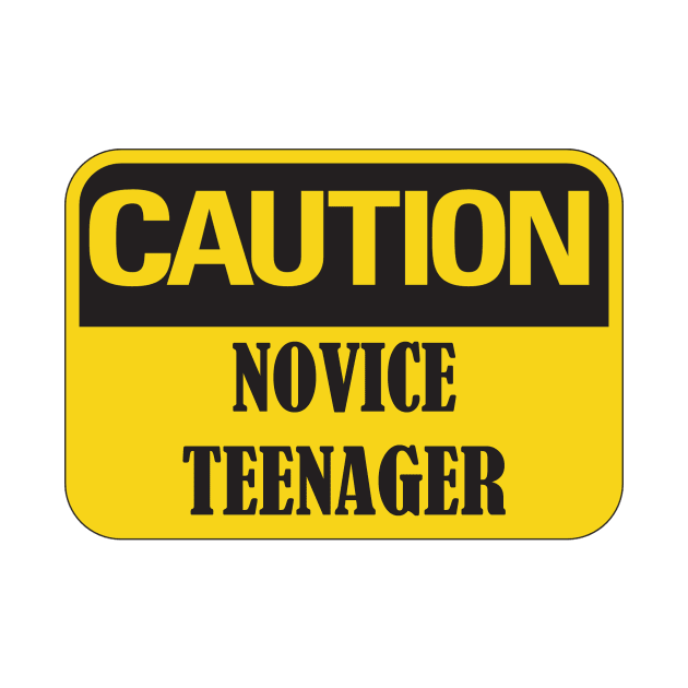 Caution Novice Teenager, Funny 13th Birthday Gift Idea by Rossla Designs