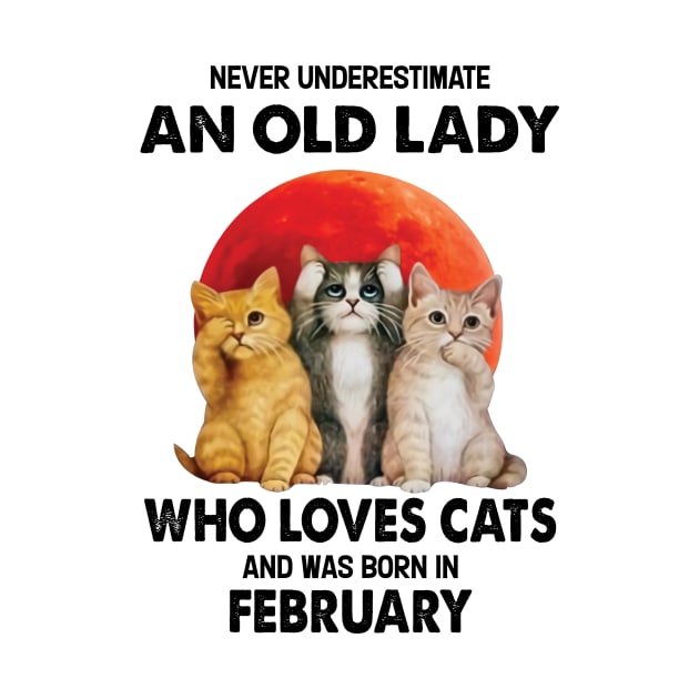 Never Underestimate An Old Lady Who Loves Cats And Was Born In February by Bunzaji