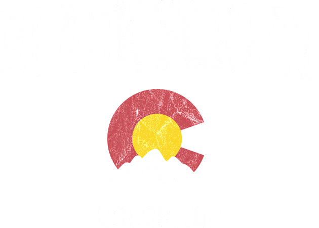 Black Forest Colorado CO Vintage Athletic Mountains Kids T-Shirt by TGKelly