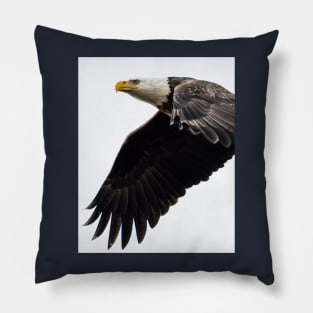 An Adult Bald Eagle In Flight Pillow