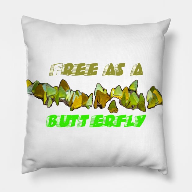 butterfly Pillow by rickylabellevie