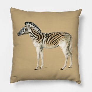 Vintage mountain zebra-animalia Pillow