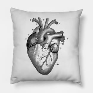 Human Heart Diagram - Vintage Anatomy Pillow