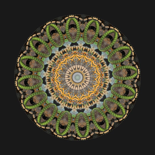 Jaded Mandala 16 Facets by CRSMarshall