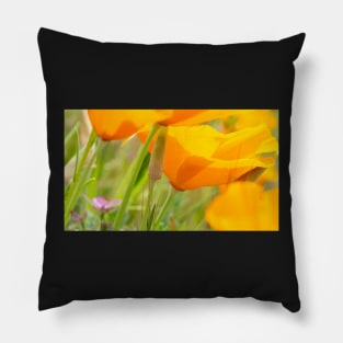 California Poppies in the Wind Pillow