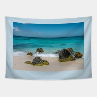 Arashi Beach in Aruba Tapestry