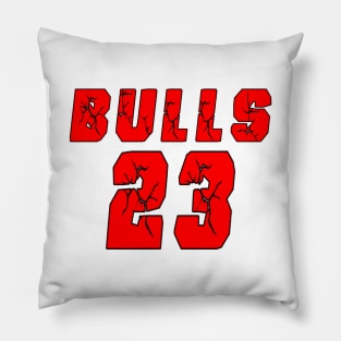 BULLS GLASES Pillow