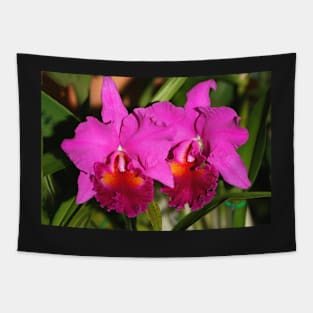 Bright Pink Orchids Tapestry