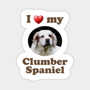 I Love My Clumber Spaniel Magnet