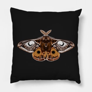 Moth sticker brown Pillow