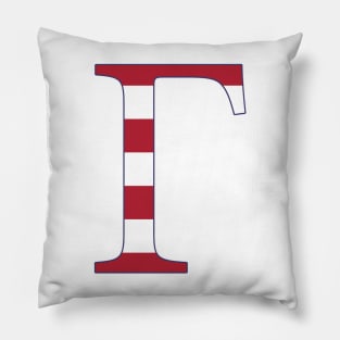 American Gamma Pillow