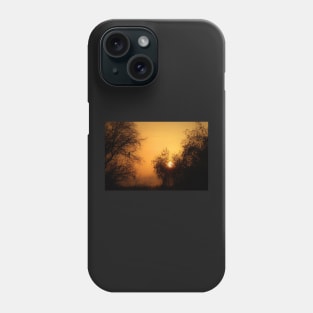 A bird watching the sunset? Phone Case