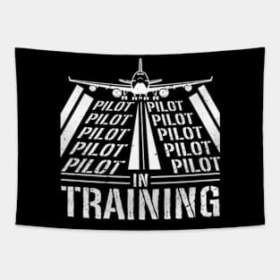 Pilot in Training Tapestry