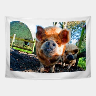 New Zealand Kunekune Pig Tapestry