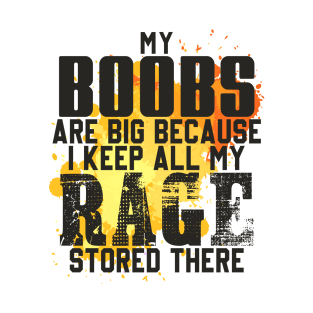 My Boobs Are Big Because I Keep All My Rage Stored Here T-Shirt