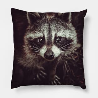 Reclusive Raccoon Photograph Pillow