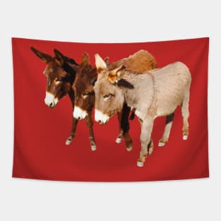 Wild burros, donkeys, wildlife, Wild Burro Buddies Tapestry