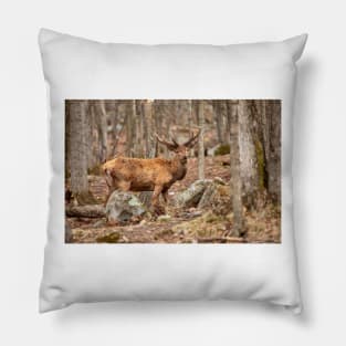 Red Deer Pillow