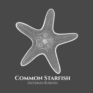 Common Starfish with Common and Latin Names - animal drawing T-Shirt