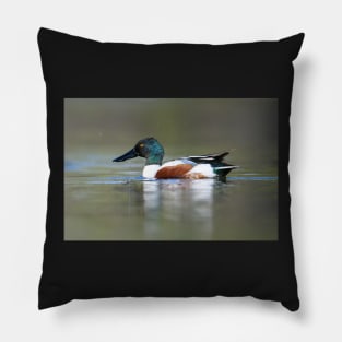 Splash Pillow