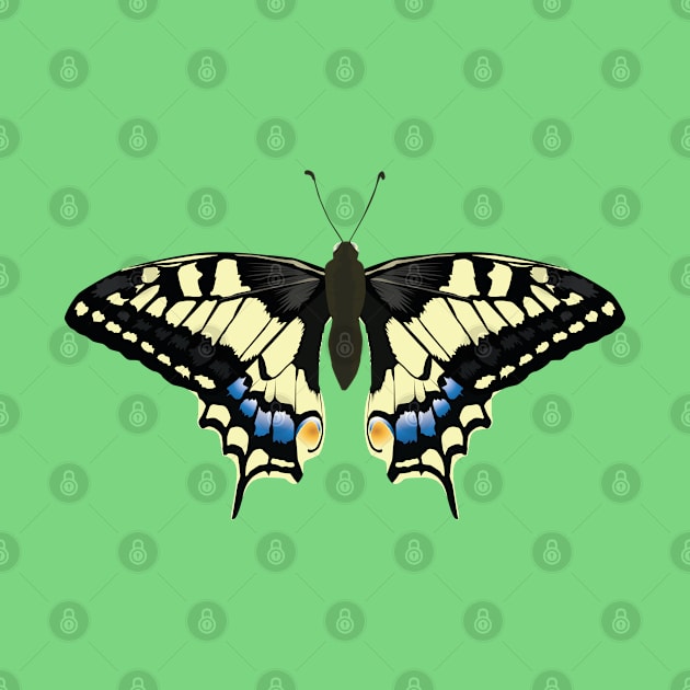 A swallowtail butterfly spreads its wings by Vectorguy