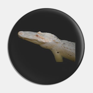 Albino Alligator Pin