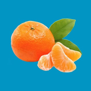 MANDARIN ORANGE T-Shirt