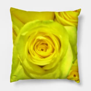 Gift for a Friend, Yellow Rose Floral Display The flower of Friendship - Autumn Bouquet - Flowers Pillow