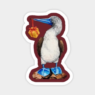 Booby with a gift Magnet