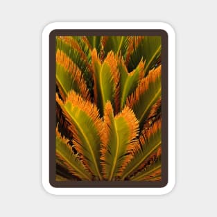 Palm Tree Leaves Magnet